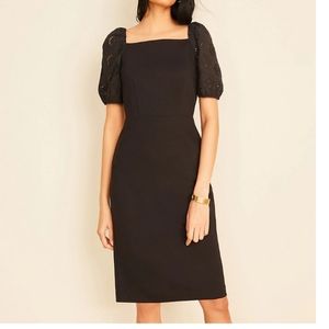 NWT Ann Taylor square neck dress